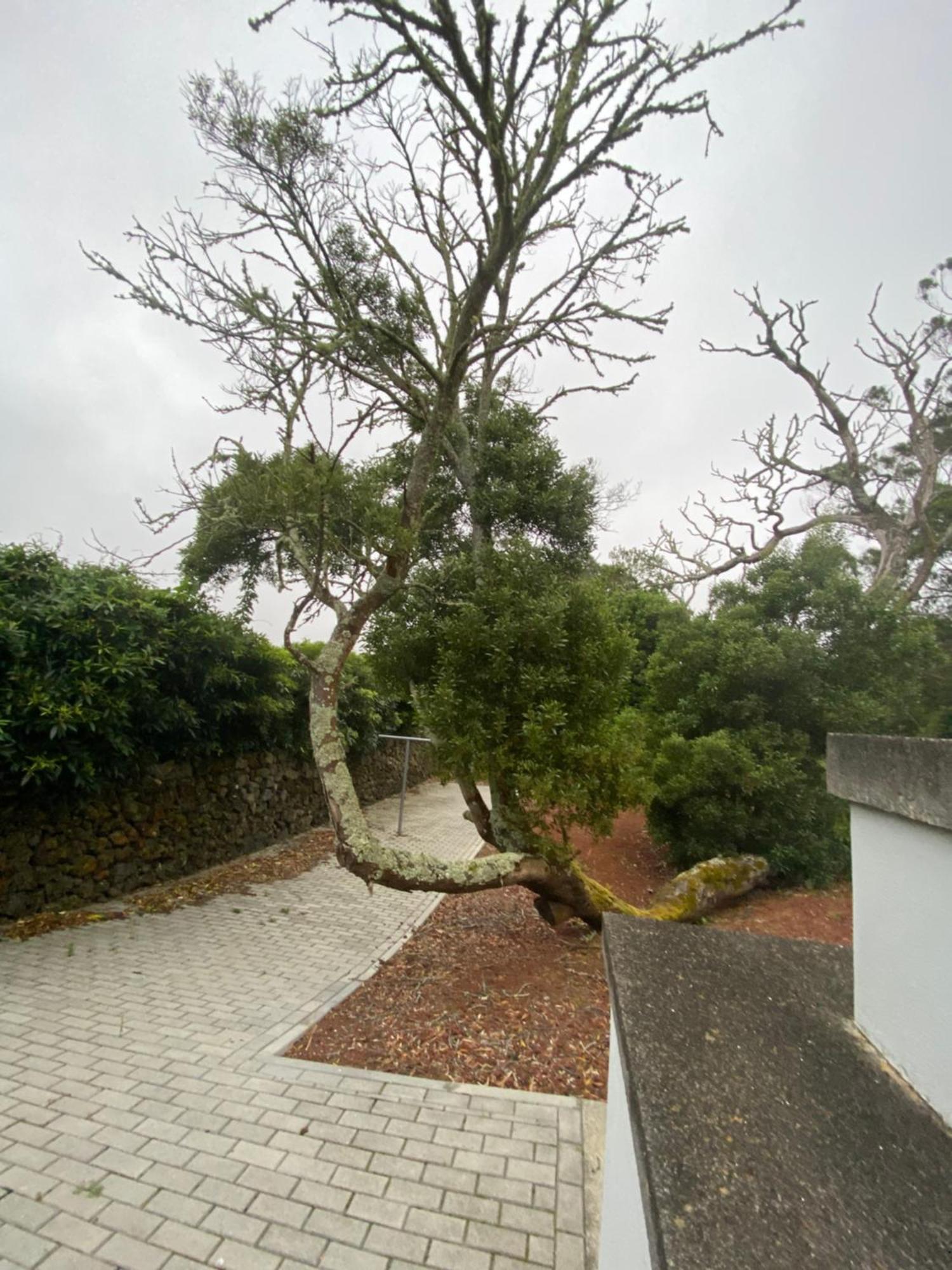 Casa Azul Terceira Island Azores Fonte do Bustardo Extérieur photo